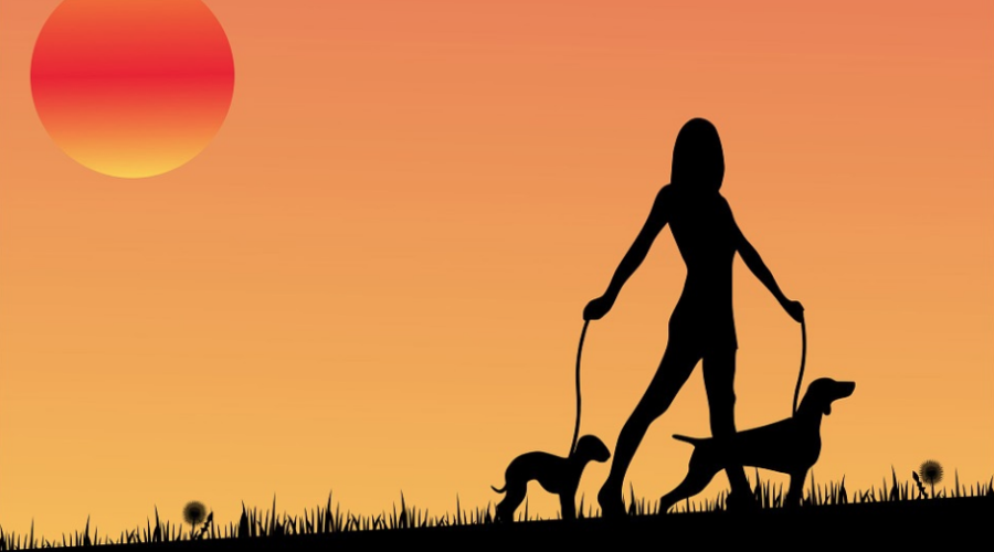 The Pet Factor in Real Estate Sales