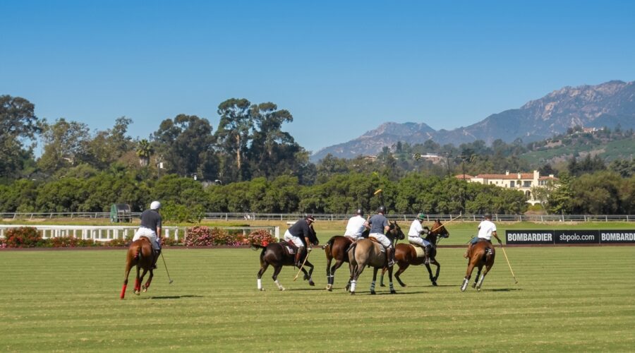 Santa Barbara Clubs