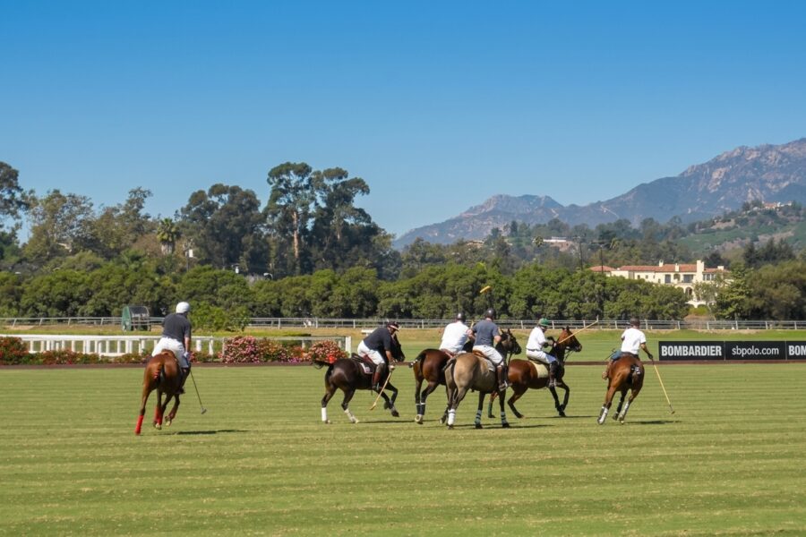 Santa Barbara Clubs